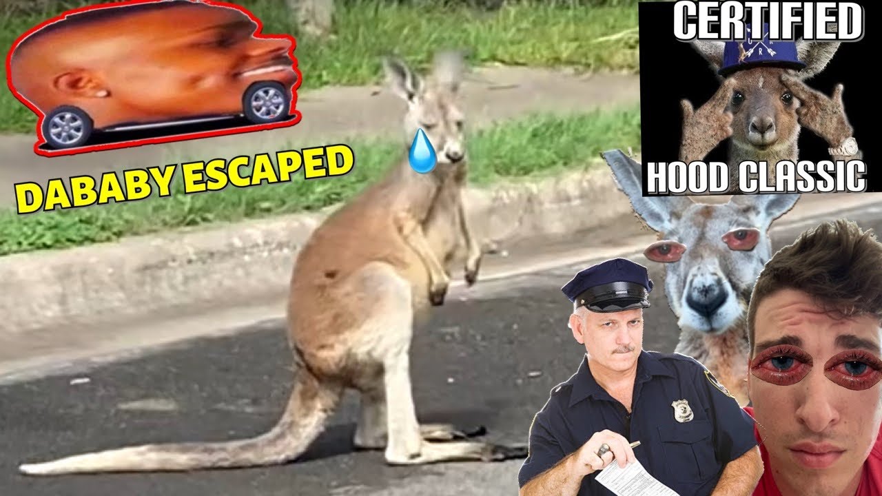 DaBaby Ran Away!? *Cops Actually Called*