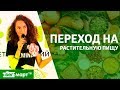 Переход на растительное питание. Как растительная пища меняет жизнь? Консультант Станислава Кинах