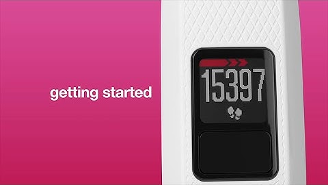vívofit 3 - Getting Started With Your Activity Tracker (English)