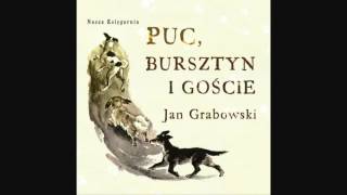 PUC BURSZTYN I GOŚCIE 1 6 Lektura do słuchania Jan Grabowski