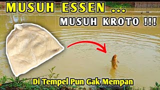 UMPAN PENANGKAL ESSEN ‼️ Ikan Gak Mau Kemana Mana Betah & Cepat Kumpul || Racikan Umpan Ikan Mas