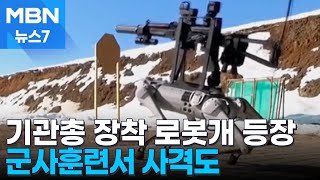 기관총 단 로봇개가 군사훈련 등장…미국 이어 중국도 로봇 무기화 박차 [MBN 뉴스7]