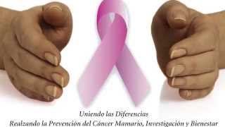 February 28, 2015 - Bridging the Gap (Breast Cancer Event) [Spanish]