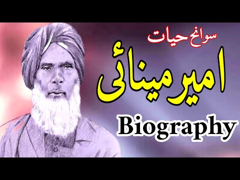 amir ali danaei biography definition