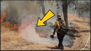 The Touching Moment a Firefighter Comforted a Dog in the Middle of a Firestorm! #truestory