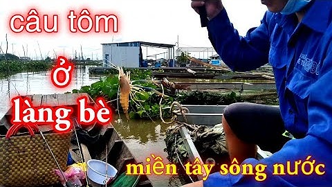 Câu tôm sông/Câu trên LÀNG BÈ ngày cuối tuần_Xì long Fishing