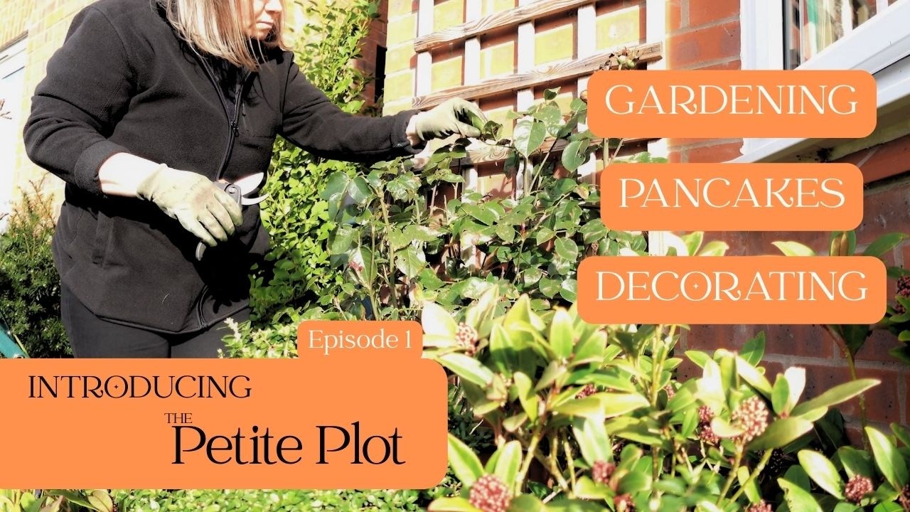 Introducing The Petite Plot: Office DIY, Garden Tidying & Heidi 🌿