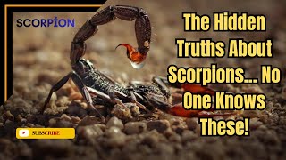 10 Shocking Facts About Scorpions You Didn’t Know!