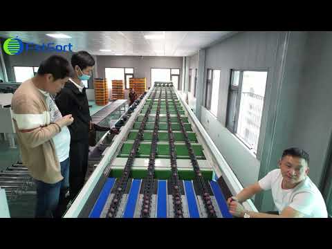 Automatic 4-lane plum processing machine fruit weighing sorting packing equipment prunes grader