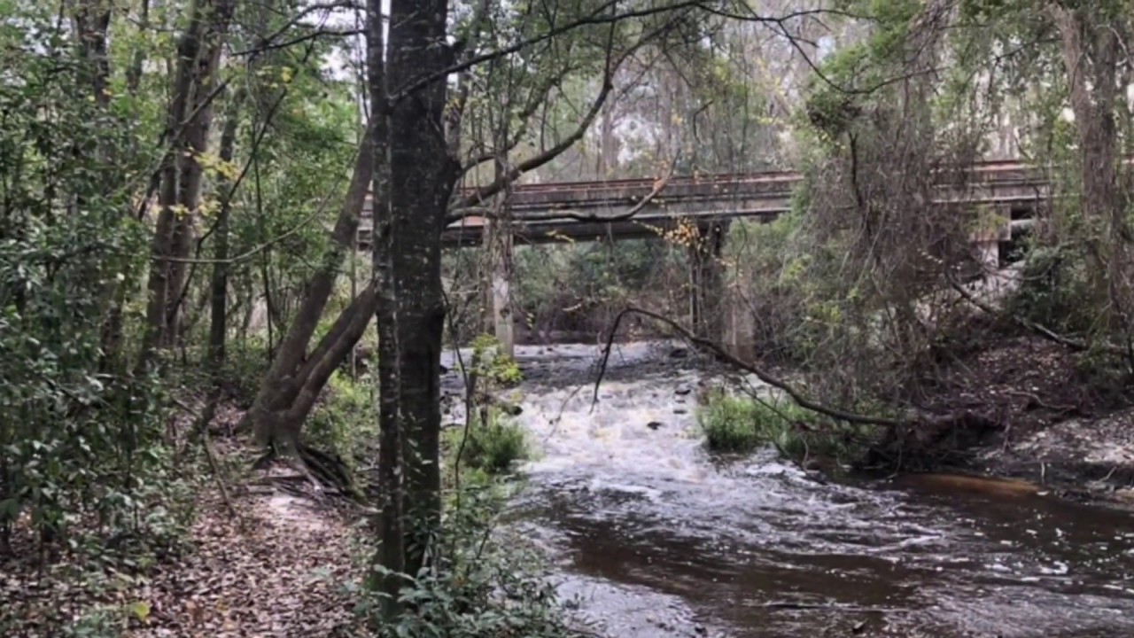 Alligator Creek, Starke, FL YouTube