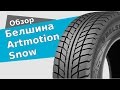 ⊛ Белшина ArtMotion Snow ⊛ Детальный обзор от InterShyna.ua