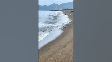 HIỆN TƯỢNG LẠ TẠI BỜ BIỂN TRUNG QUỐC CÁ TRÔI DẠT VÀO BỜ