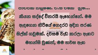 මමණඩය මහතතයය මට දපතතන සලකව Sinhala Keti Katha New Sinhala Short Stories Shorts