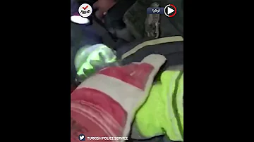 شاهد فرق الإنقاذ تخرج عصفورا من تحت الأنقاض في تركيا 