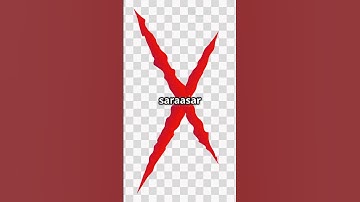 Humans DIDN’T Evolve from Monkeys?! 😳 | @Infonic24 #mythbusted #facts #viralshorts #informative