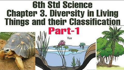 6th std science 3 diversity in living things and their classification Part-1l explanation in marathi