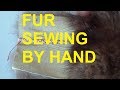 Way to Sew Fur Pelts Together. Sewing of Natural Fur Pelts by Hand Stitch