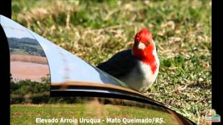 Elevado Do Uruqua Em Mato Queimado, Região Das Missões Rs.
