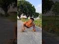 Push Up Nahin Lagte Hain Workout Fitness