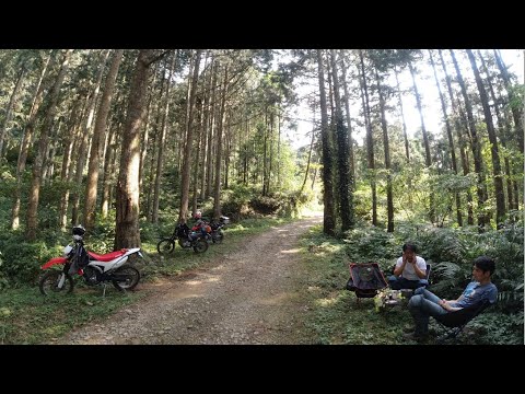 大湳林道 Youtube