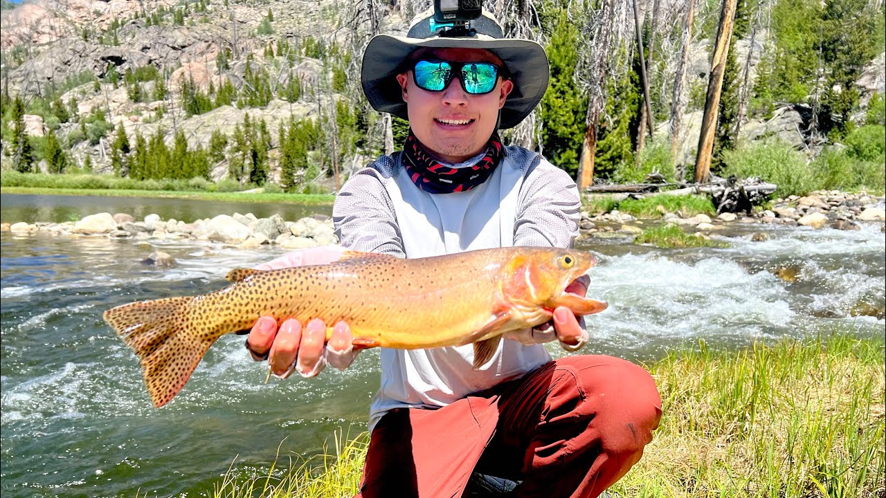 Catching 106 Trout in 1 DayWind River WY YouTube