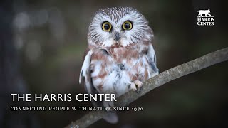 Celebrating Nature for All at the Harris Center
