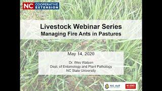 Livestock Webinar Series: Managing Fire Ants in Pastures