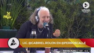 "A veces nos falla la empatía": Gabriel Rolón sobre los vínculos en grupo | #Perros2021