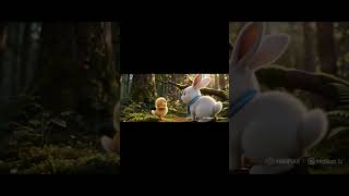 The Little Rabbit and the Lost Bird 🐰