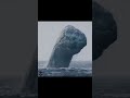 Part 1 Sea Serpent Sea Snake Serpent Water Shorts Short Giant Rare 