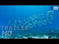 Die unbequeme Wahrheit über unsere Ozeane (HD Trailer Deutsch)