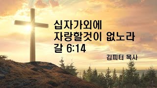 십자가외에 자랑할것이 없노라 l 순복음 세계비젼교회 ㅣ 김피터 목사 ㅣ 24.10.20