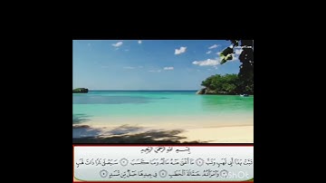 سورة المسد بصوت خالد الجليل 🥀🌼❤️