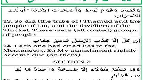 سورة ص الايات من 13 الى 15