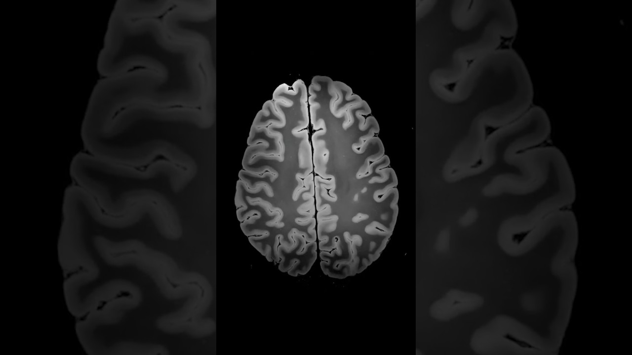 Historical Events from the past - History Today 19th July