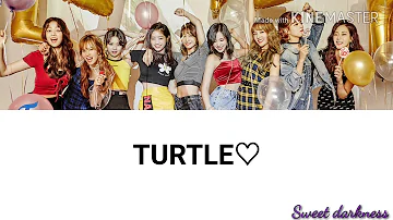 تحميل أغنية Twice Turtle Mp4 Mp4 Mp3