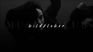 Billie Eilish, WILDFLOWER | slowed + reverb |