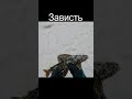 У каждого рыбака такое бывае#рыбалка#fishing#приключения#путешествия