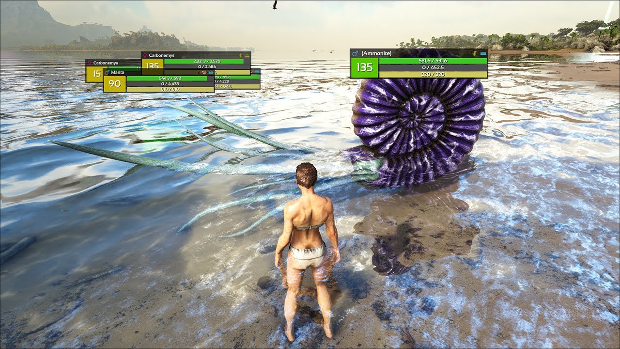 Ammonite in Ark Lost Island Creature - YouTube