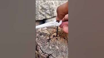 Easily Tie a Rope Around a Column with This Secure Method! #knot #diy #bushcraft #shorts