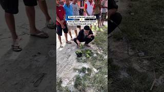 Disaksikan Warga Kake ini Bisa Merubah Daun Jadi Uang #shorts