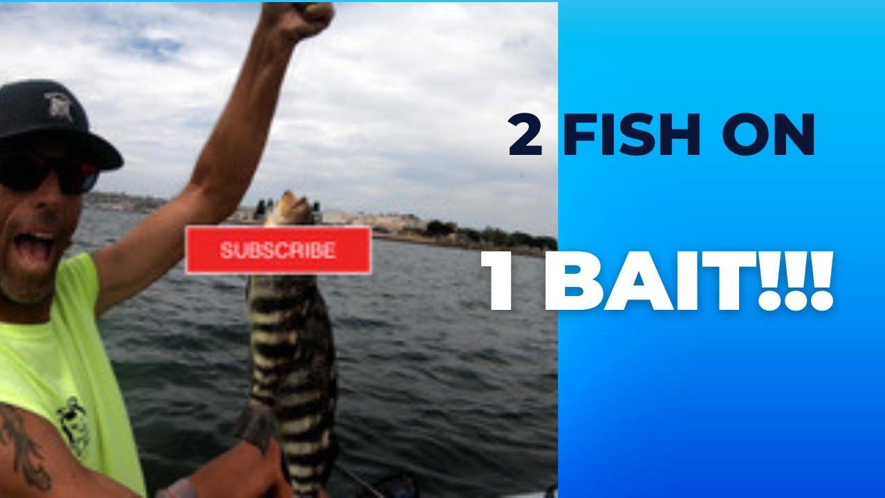 Fishing In The RAIN! 2 FISH 1 BAIT!! A STUPID Seagull Spanish