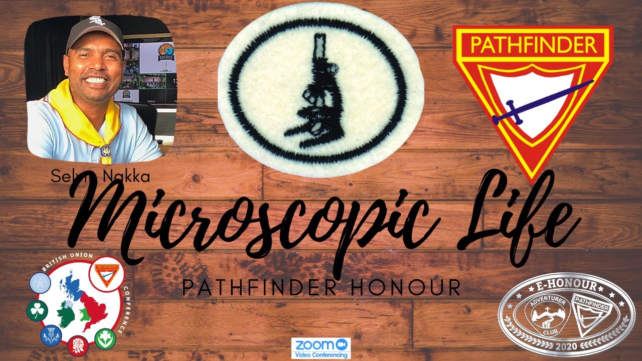 Microscopic Life Pathfinder Honour - YouTube