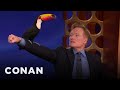 Animal expert david mizejewski tamandua  toucan  conan on tbs