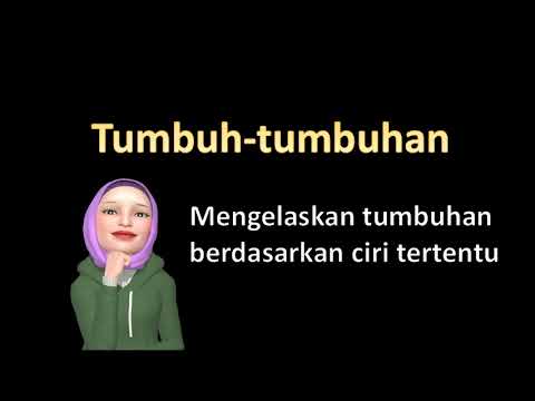 Sains Awal  (Tumbuhan) -  Mengelaskan tumbuhan dengan ciri tertentu