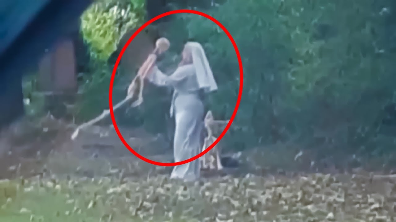 Insane Trail Cam Footage No One Saw Coming