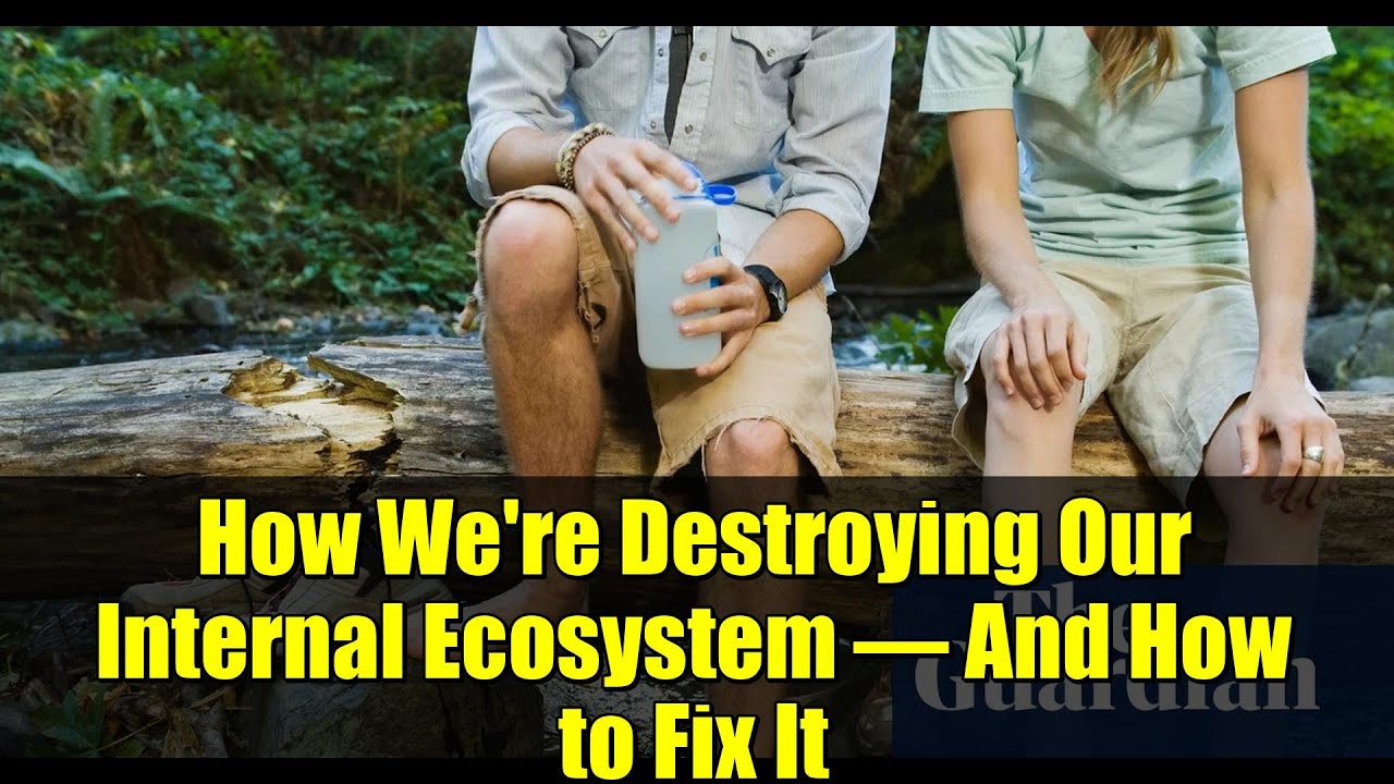 How We're Destroying Our Internal Ecosystem – And How to Fix It