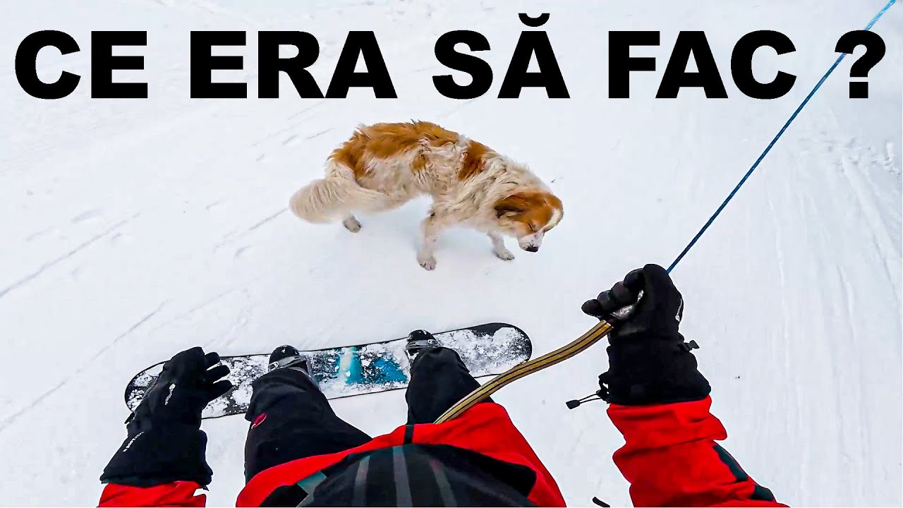 POV Snowboarding - Blocat între brazi