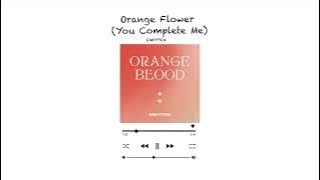 ENHYPEN Orange flower (You complete me) 1hr 엔하이픈 오렌지 플라워 1시간