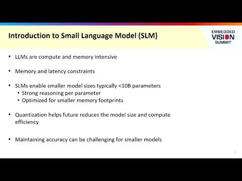 AMD Discusses Small Language Models, Trade-Offs and Quantization in Practice (Preview)